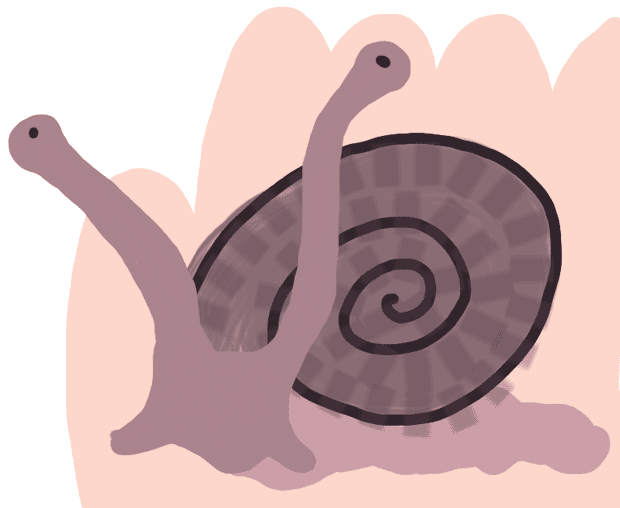 snail in my hand